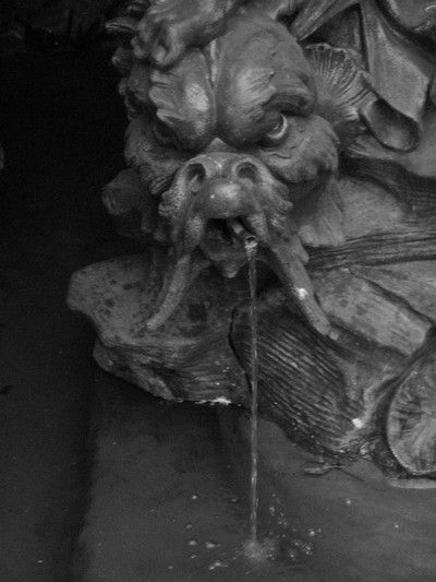 gal/jets_de_fontaines(3 Galeries)/Noir et Blanc/IMG_0427.jpg